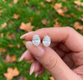 Oval Cut 4-Prong Set Studs