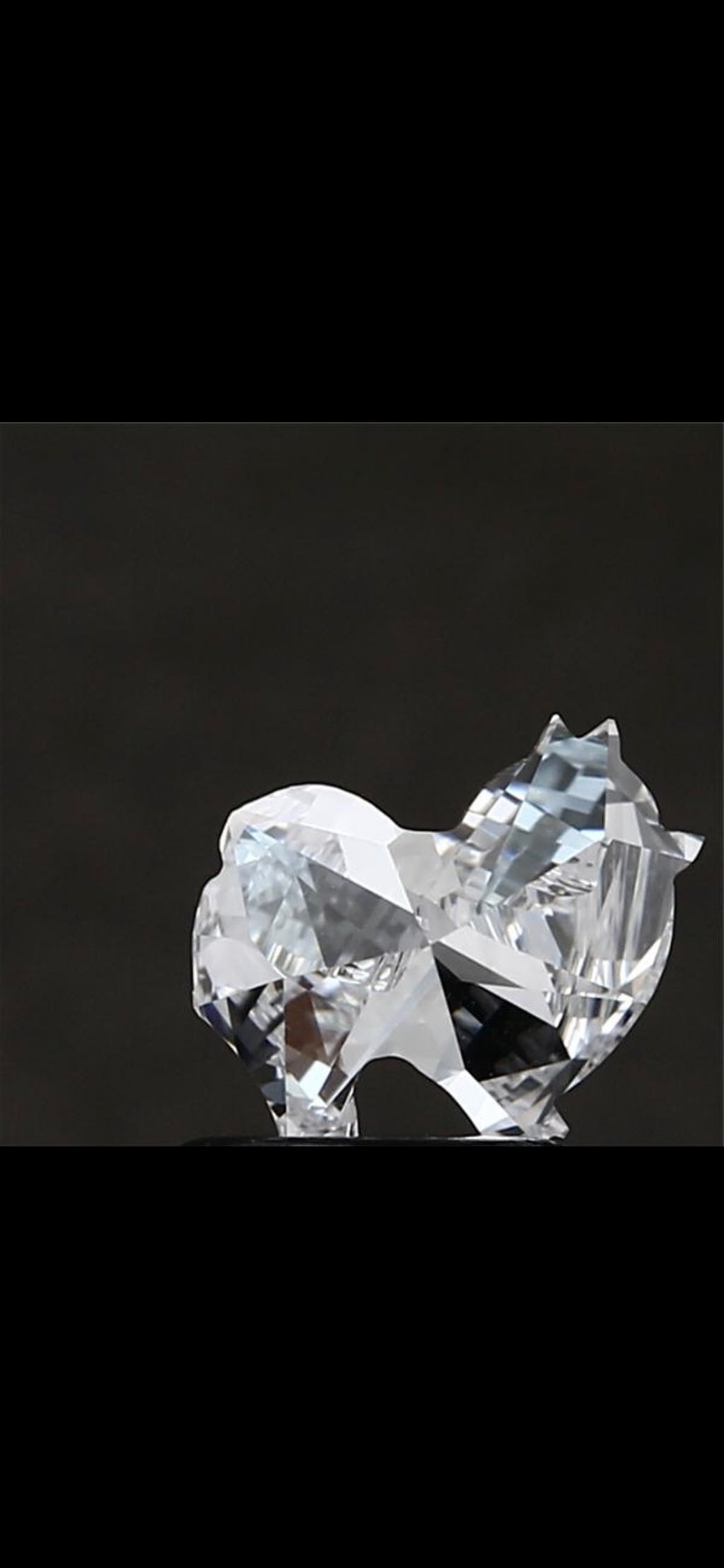 Pomeranian Shap Diamond FACE-1