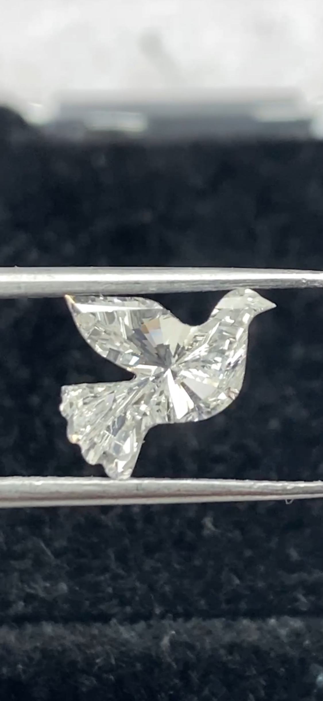 Dove  Shape  Diamond  Face-2