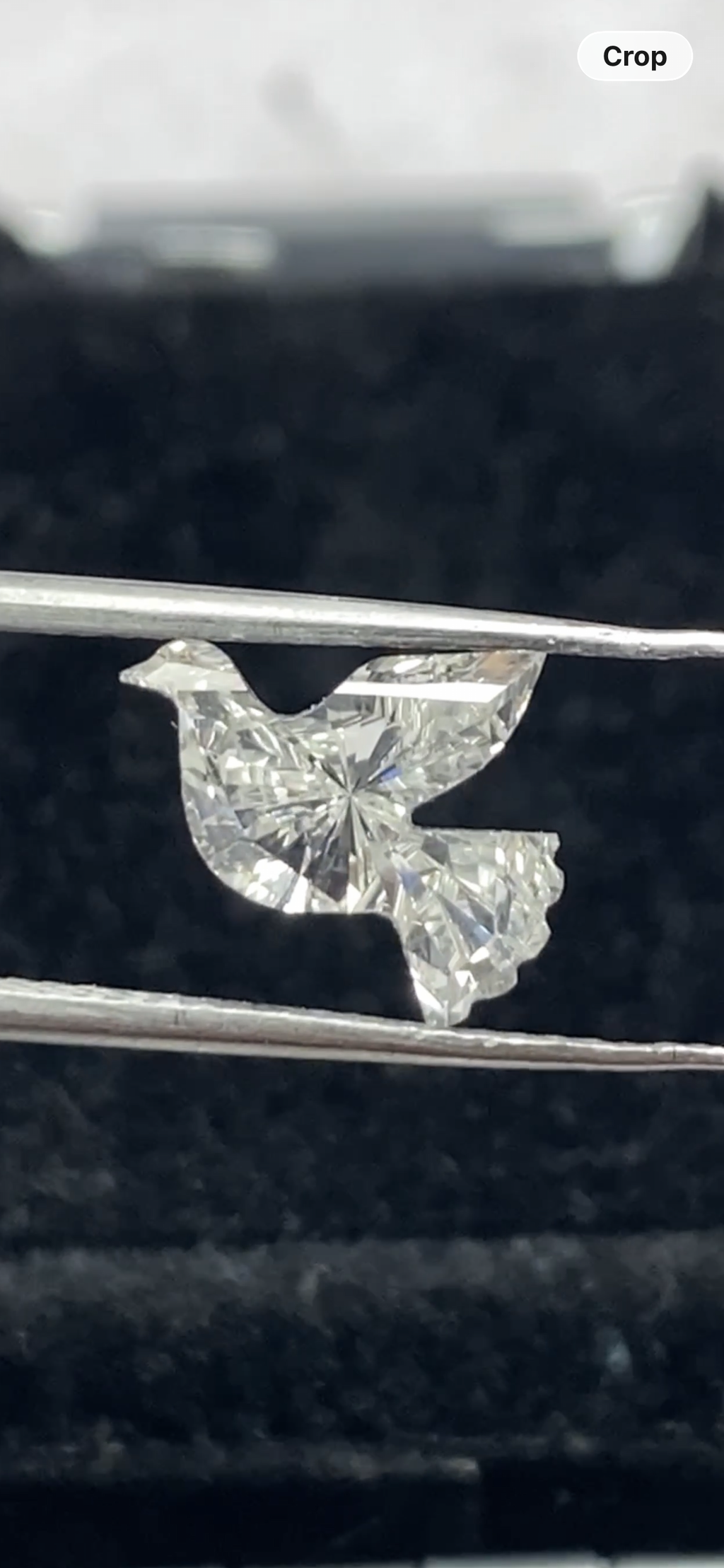 Dove  Shape  Diamond  Face -1