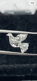 Dove  Shape  Diamond  Face -1