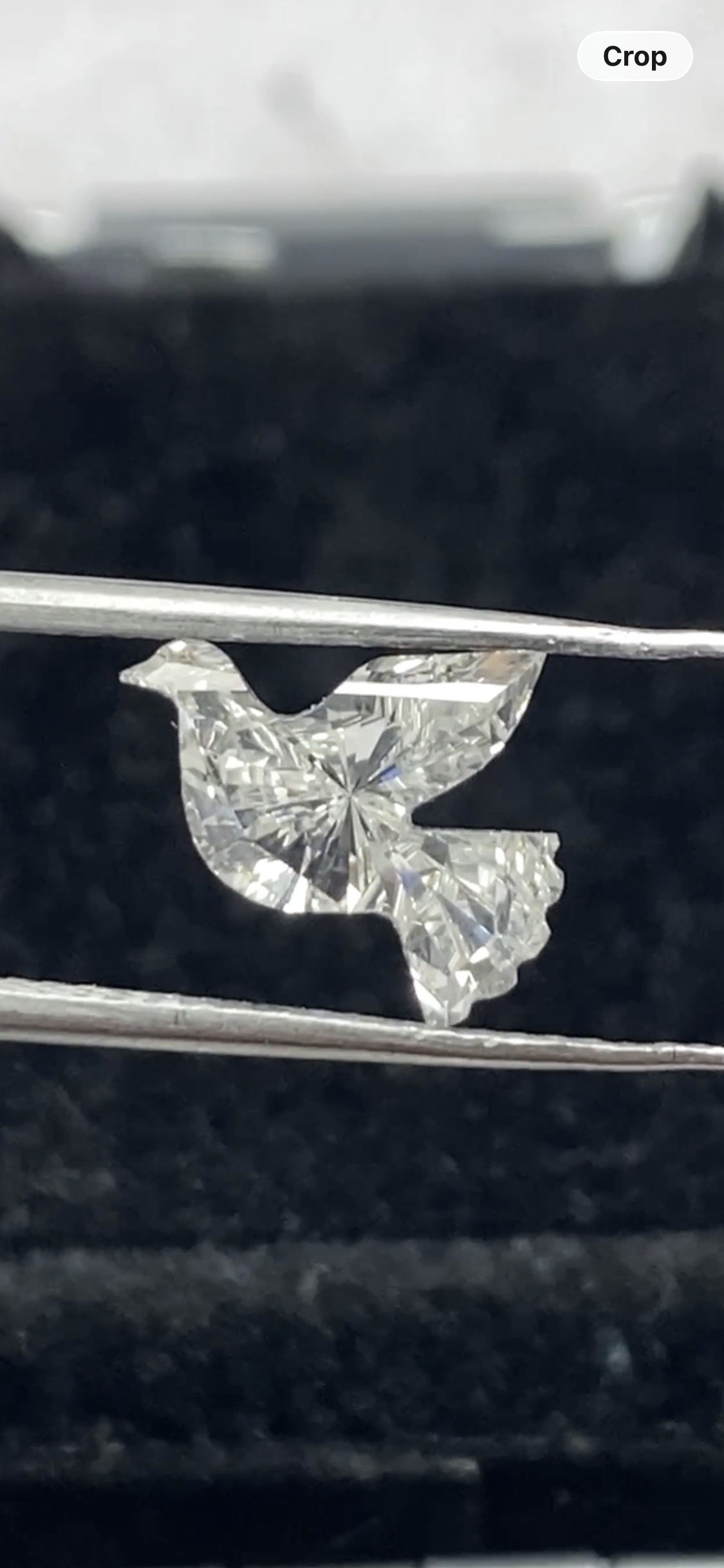 Dove  Shape  Diamond  Face -1