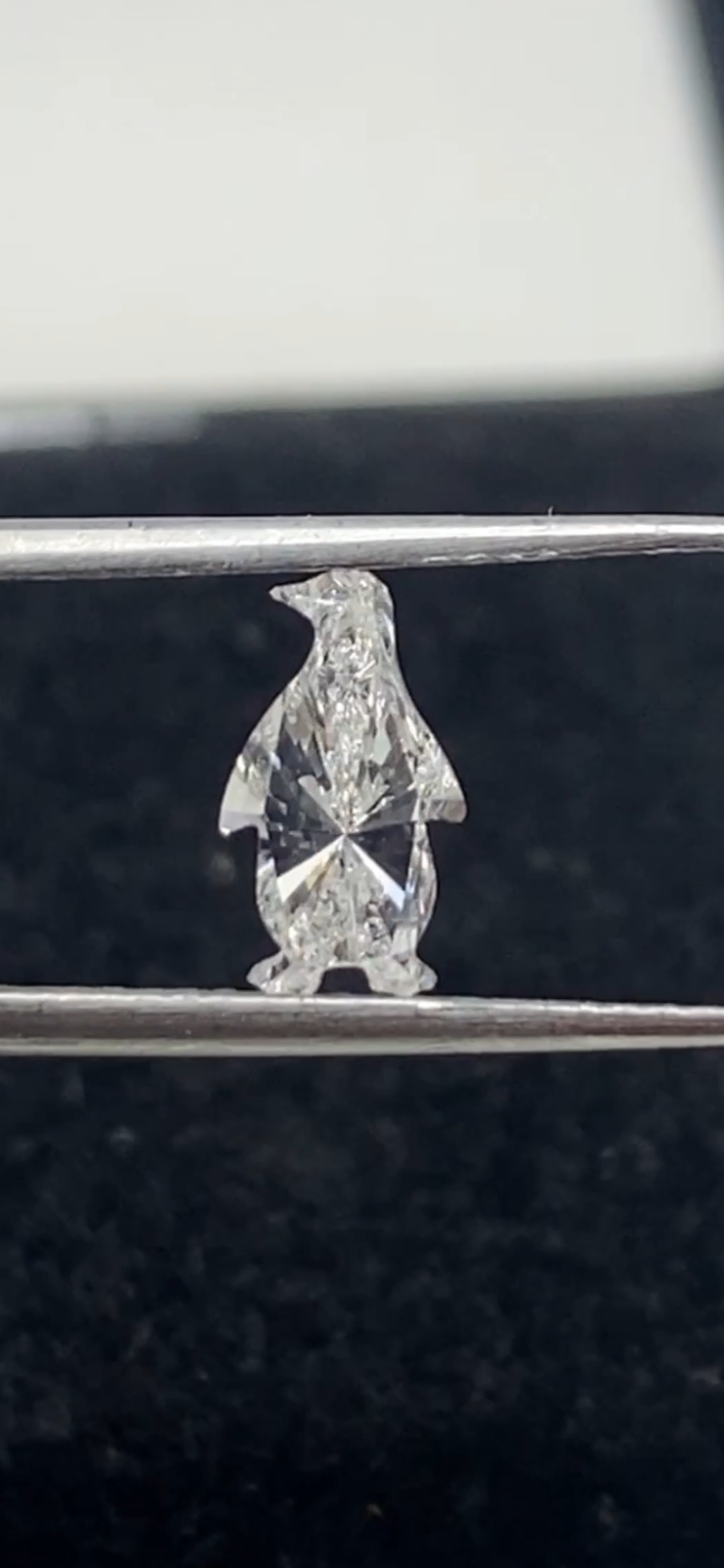 Penguins Shape  Diamond