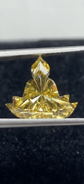 Lotus Budhha