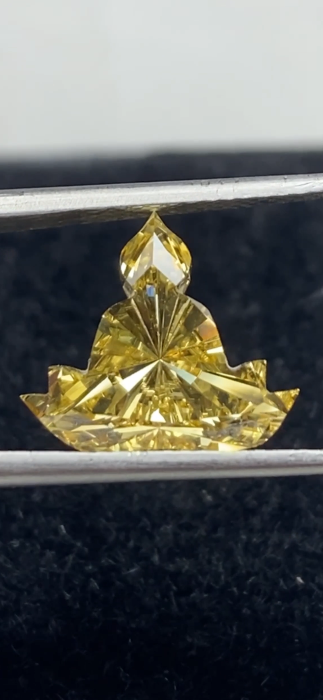 Lotus Budhha