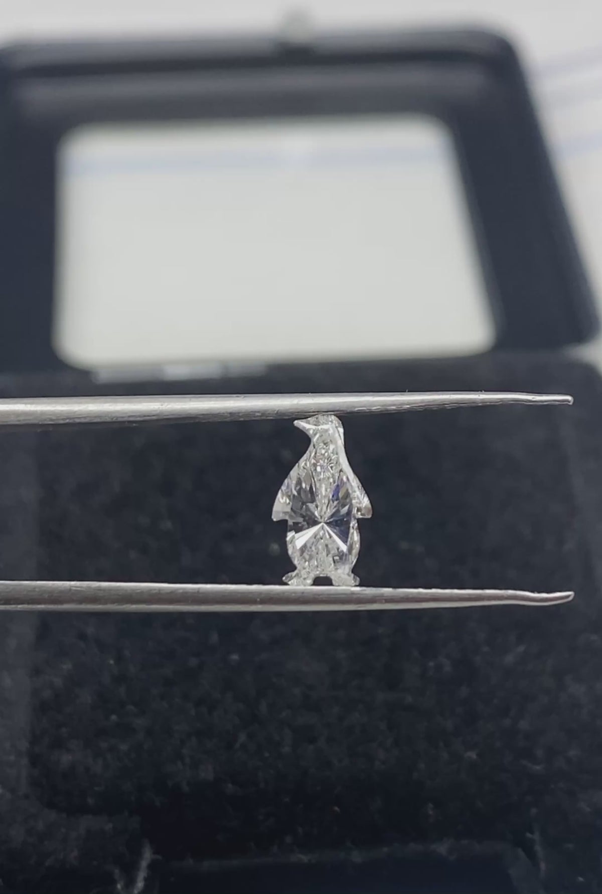 Penguins Shape  Diamond