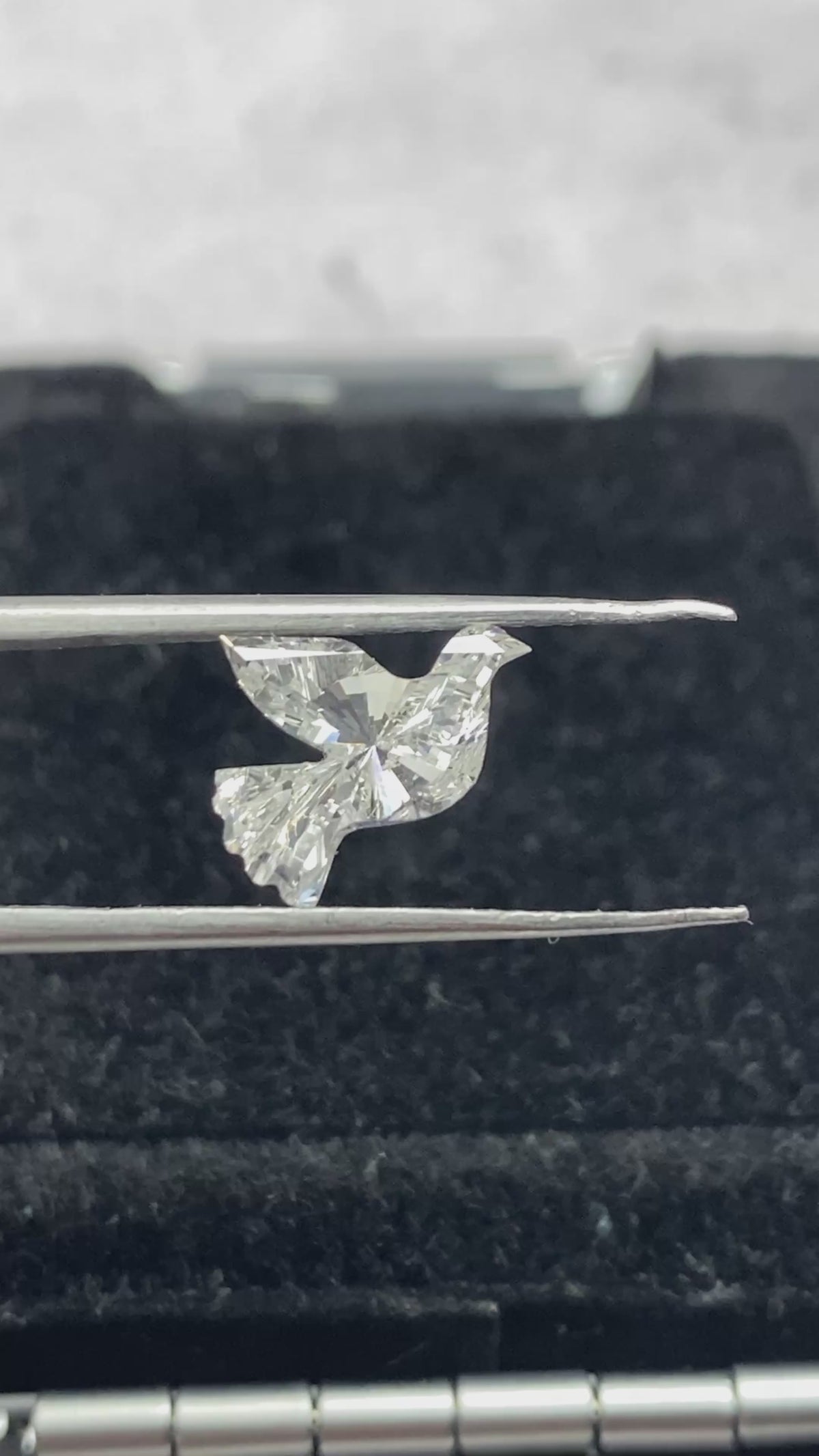 Dove  Shape  Diamond  Face-2