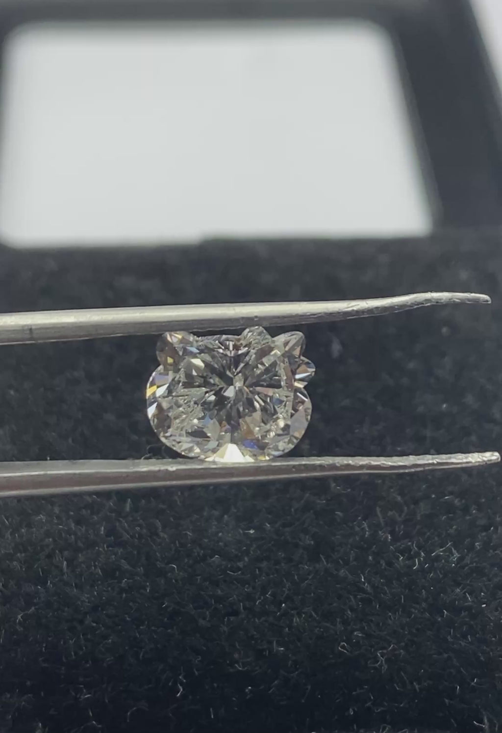 Kitty Shape Diamond
