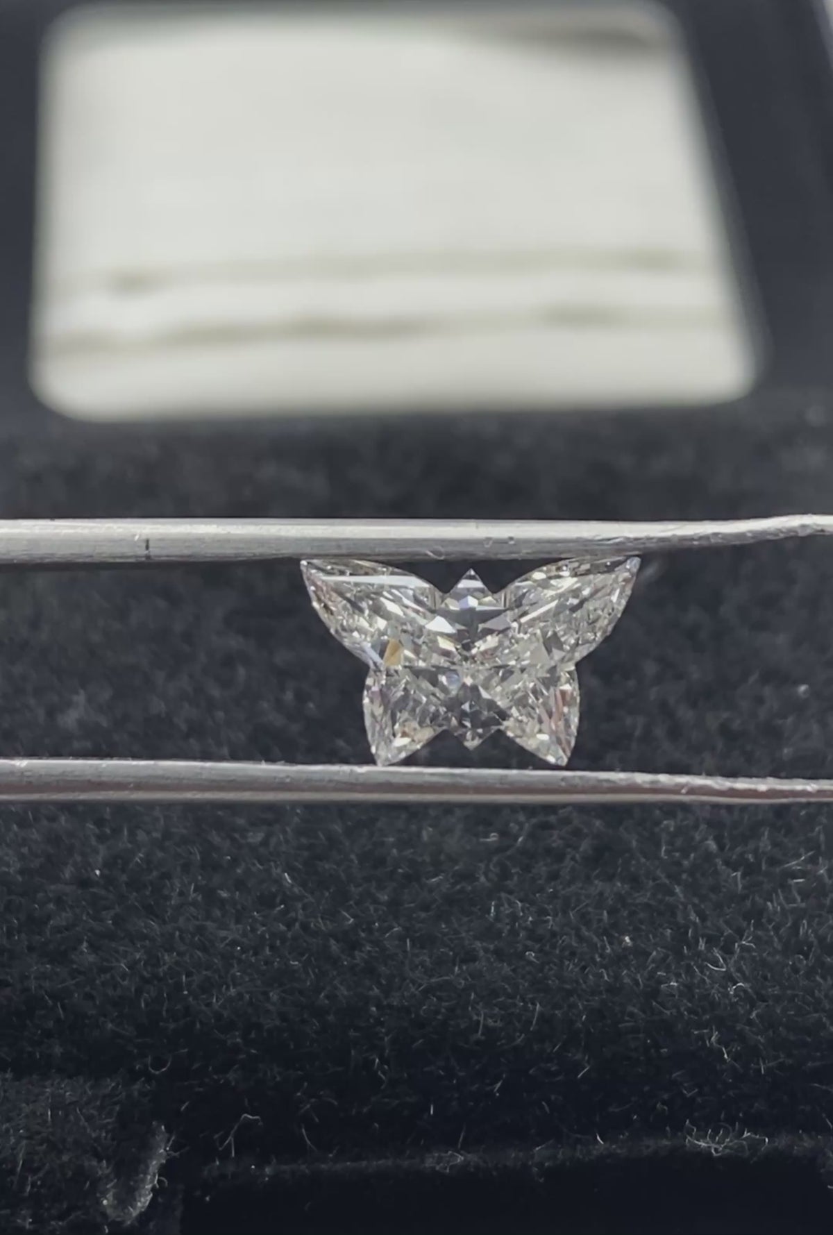 Butterfly Shape  Diamond