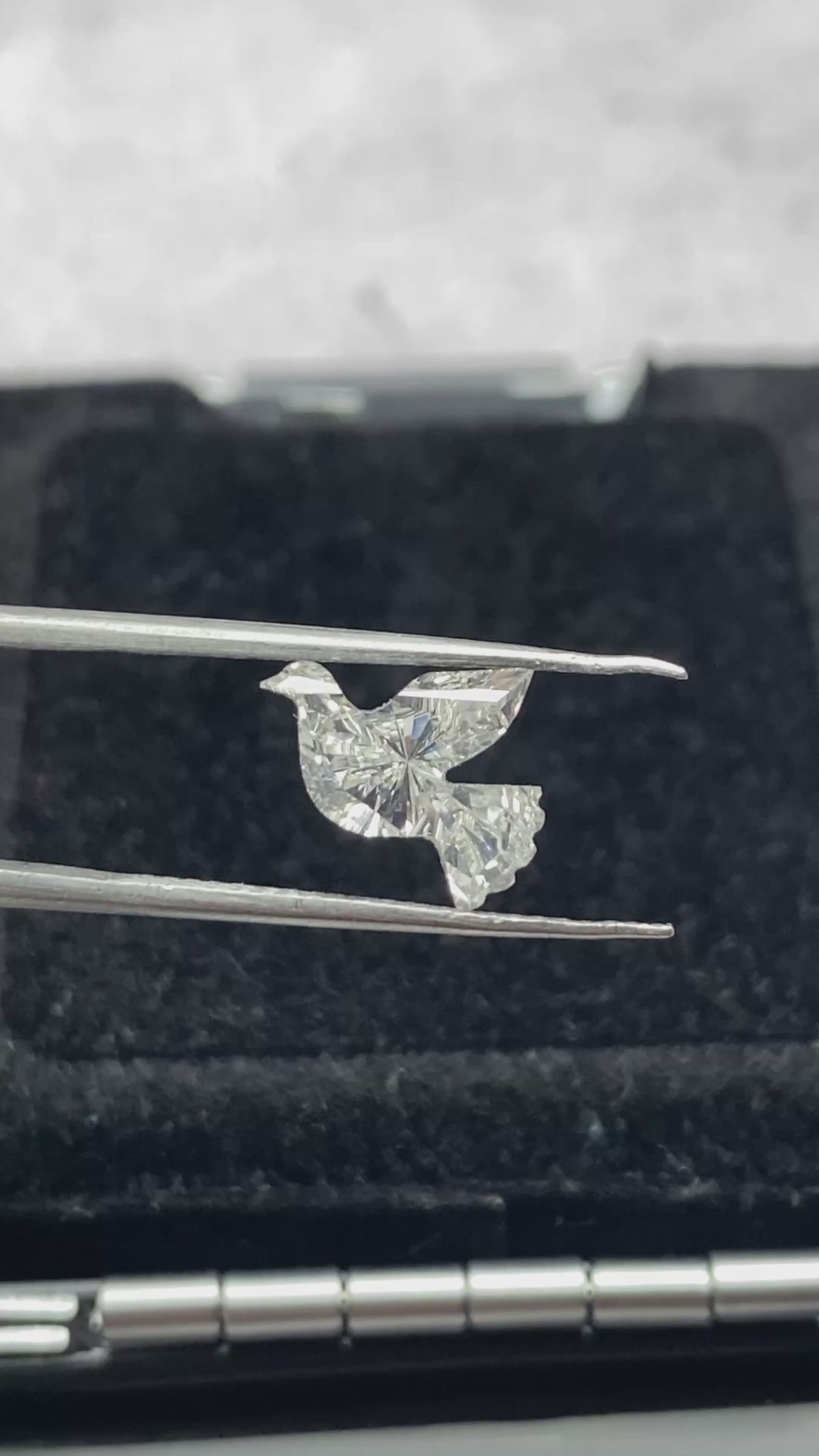 Dove  Shape  Diamond  Face -1