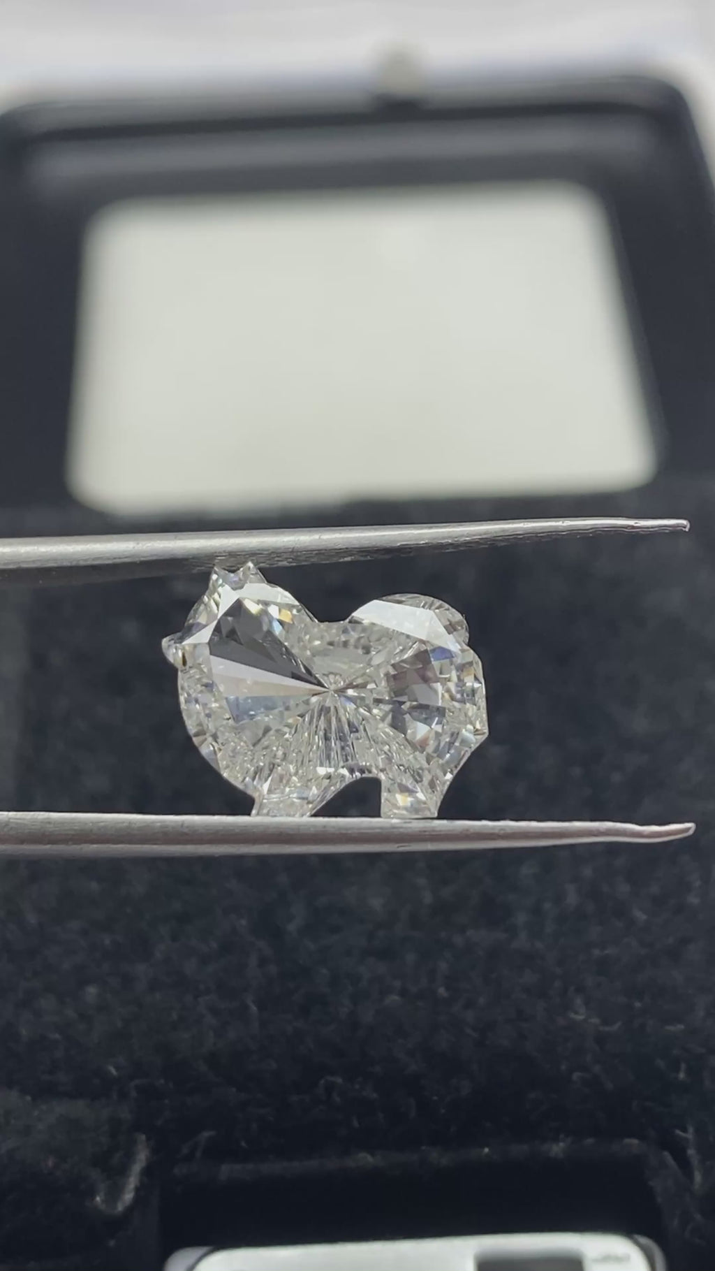 Pomeranian Shap Diamond FACE-1