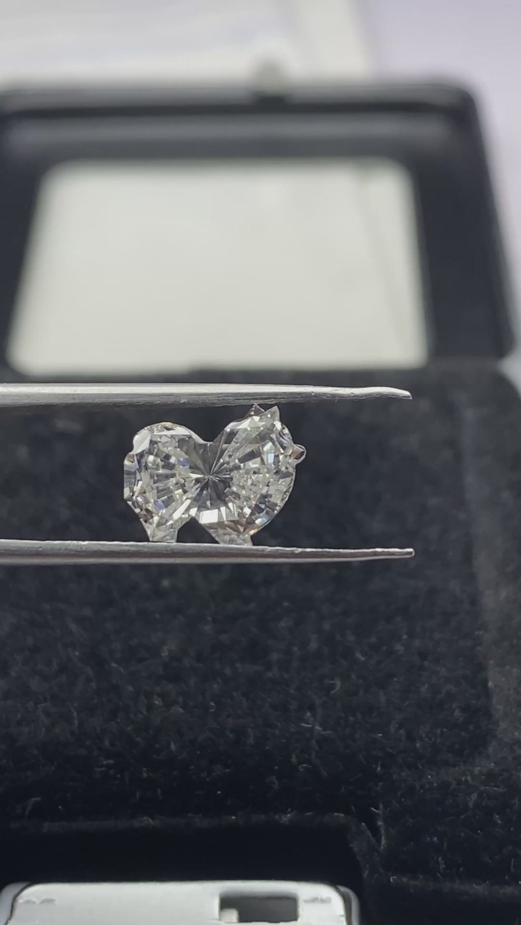 POMERANIAN SHAP DIAMOND FACE-2